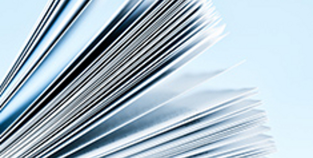 Bachelor Professional Bachelor Professional